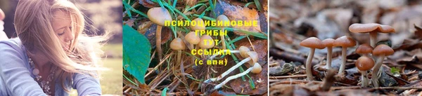 прущая мука Гусиноозёрск