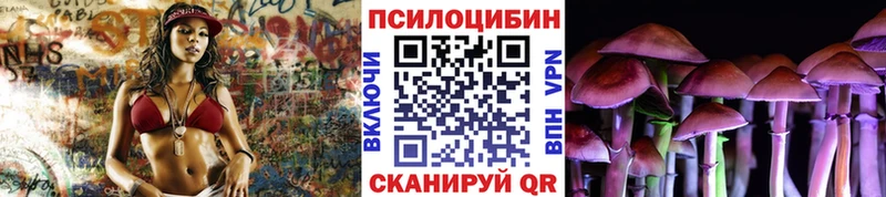 Псилоцибиновые грибы MAGIC MUSHROOMS  где купить наркоту  Воронеж 