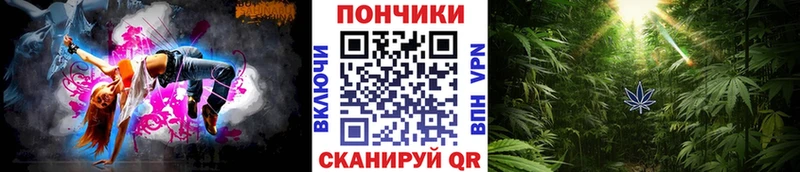 наркота  Воронеж  Бошки Шишки Amnesia 